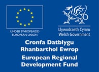 Bi-lingual ERDF LOGO jpg-1